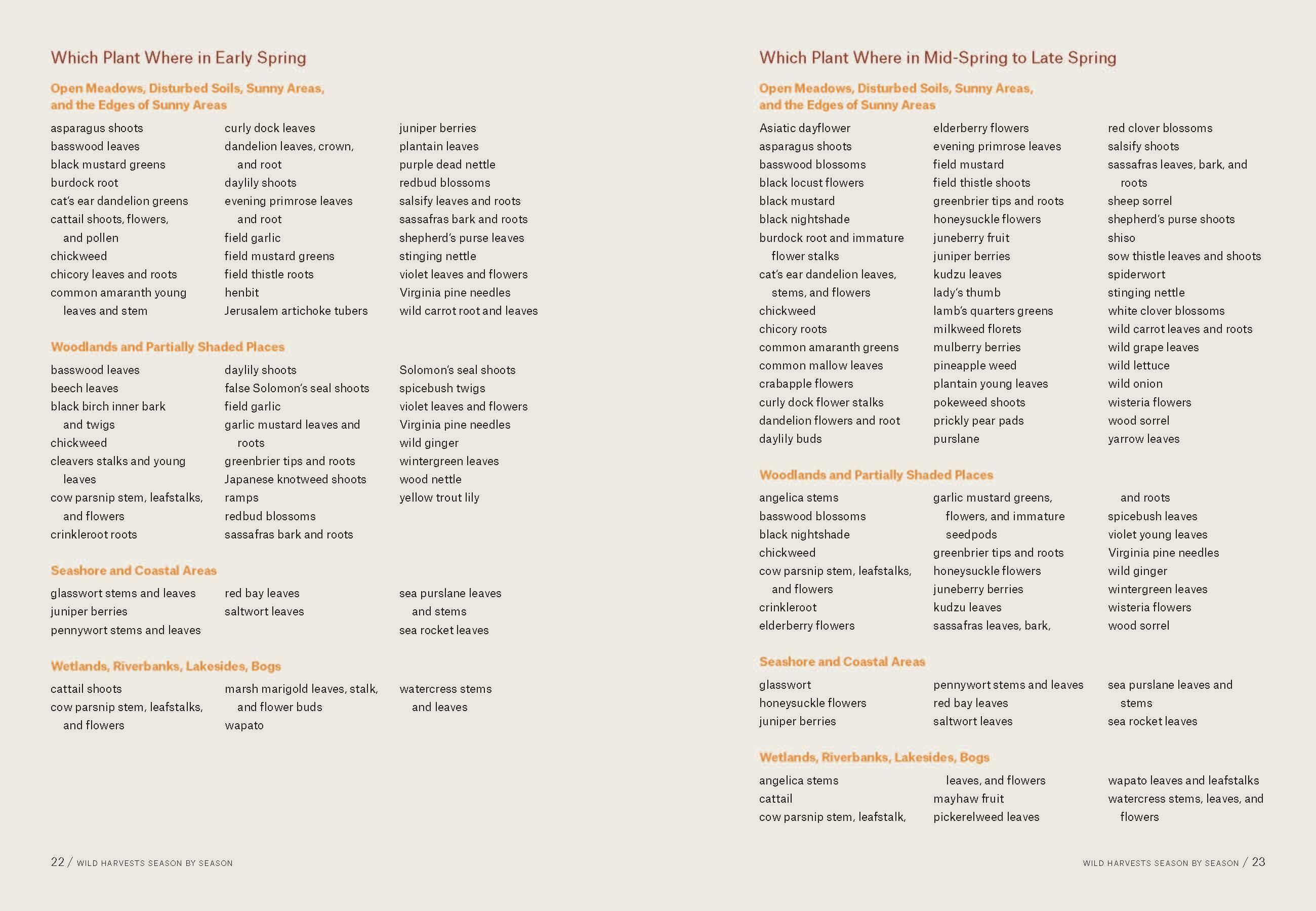 Beispielinhalt (Bild) Southeast Foraging