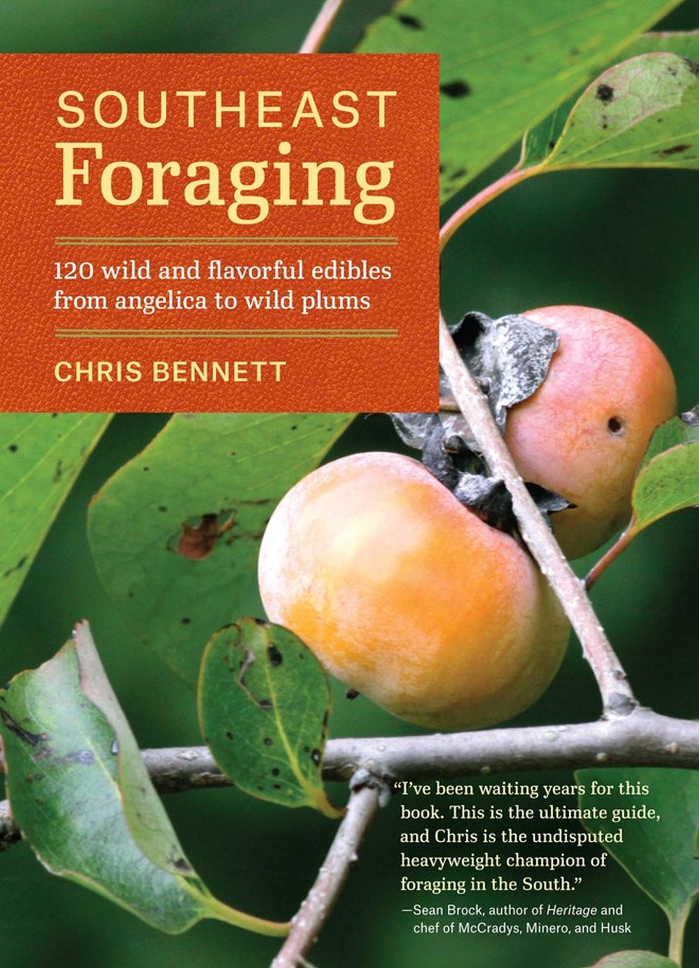 Vorderes Coverbild Southeast Foraging