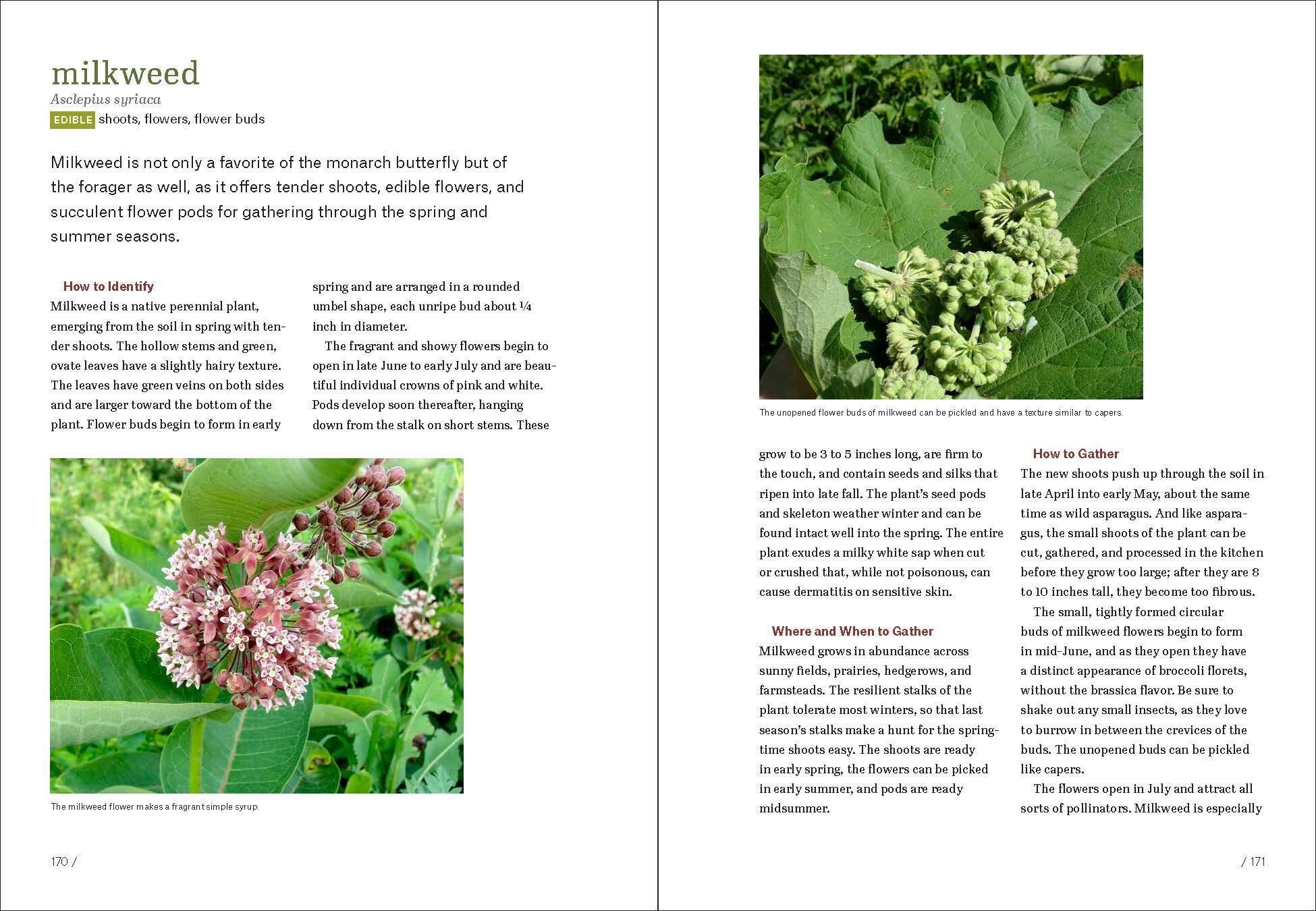 Beispielinhalt (Bild) Midwest Foraging