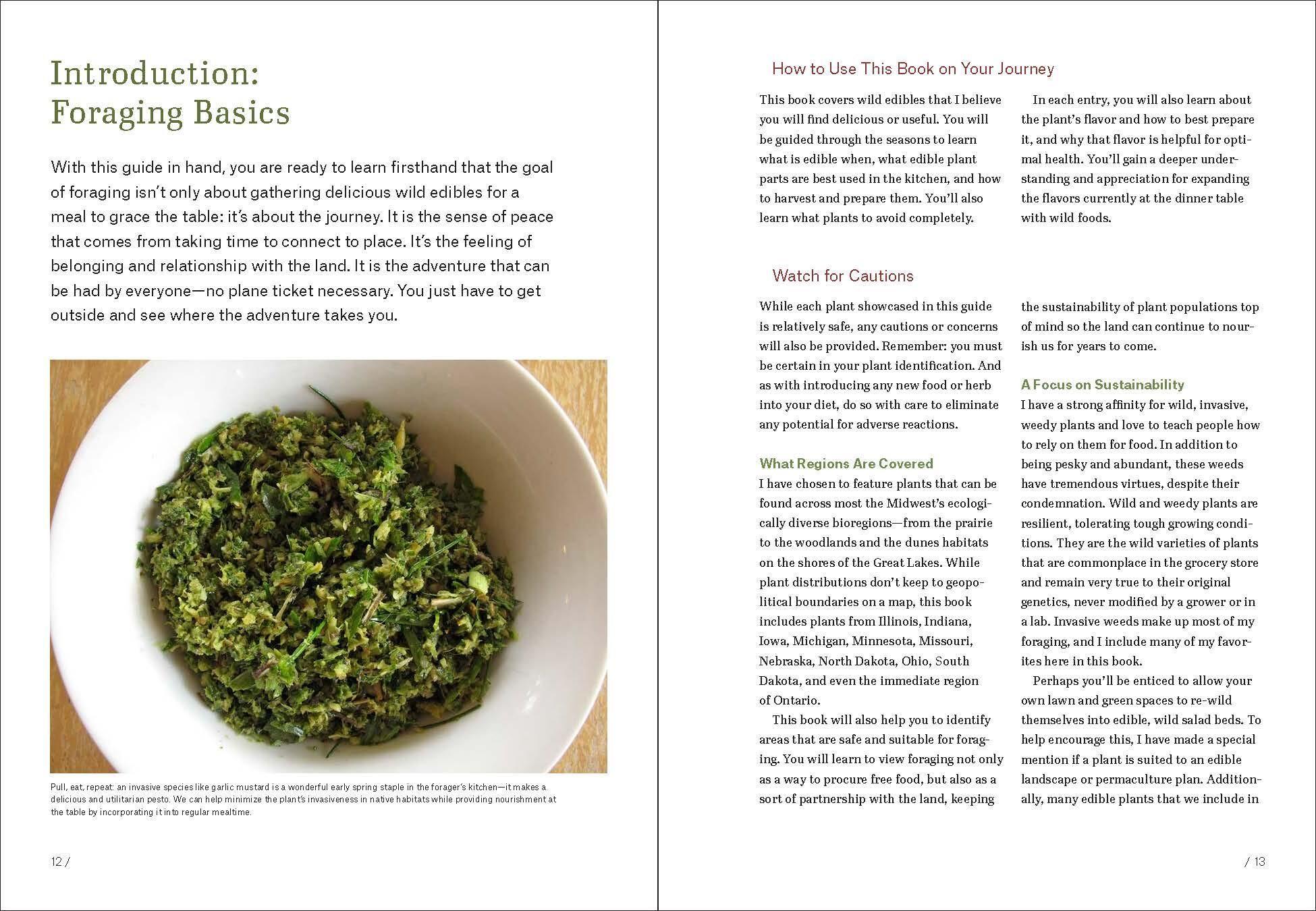 Beispielinhalt (Bild) Midwest Foraging