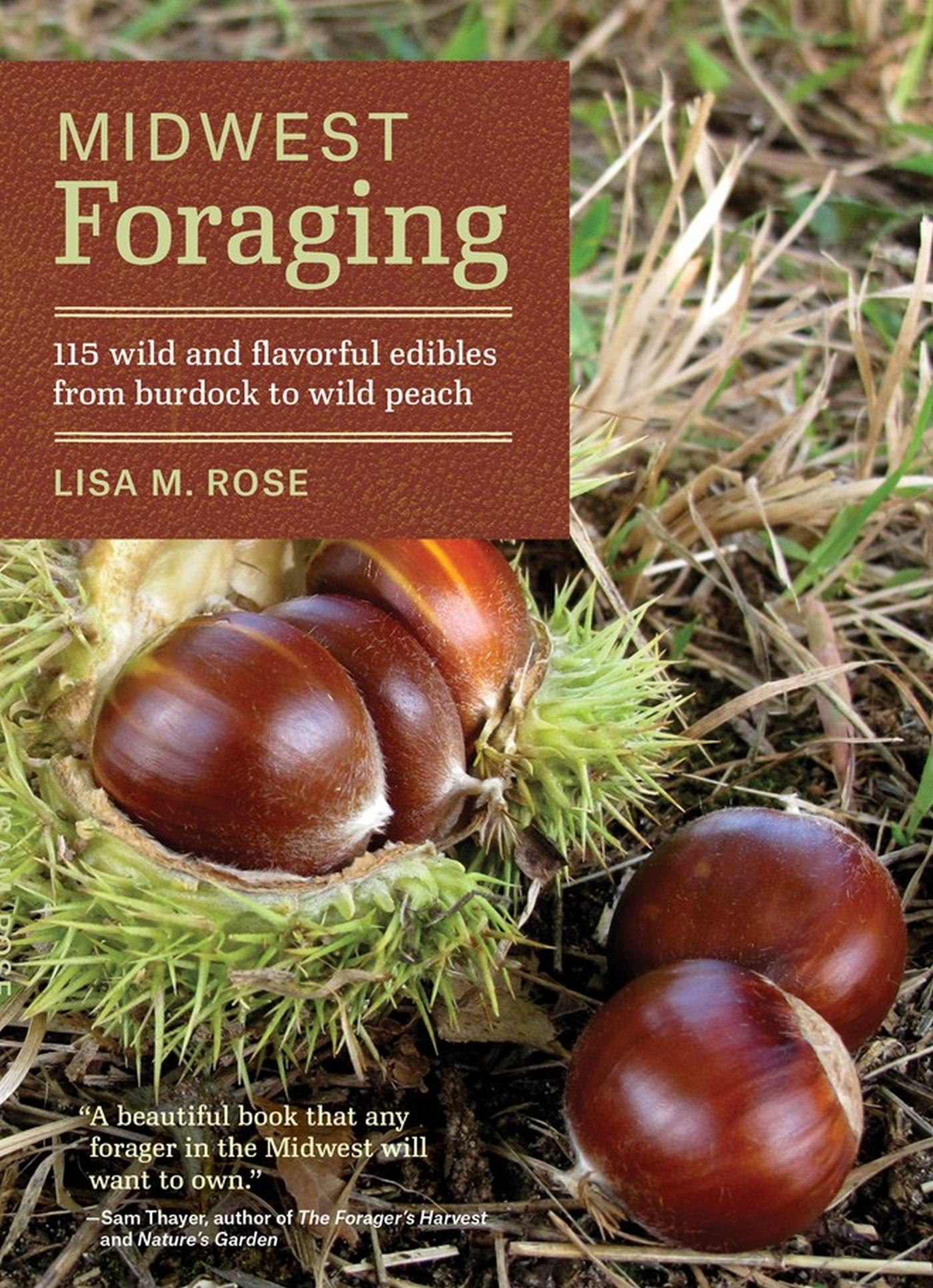 Vorderes Coverbild Midwest Foraging