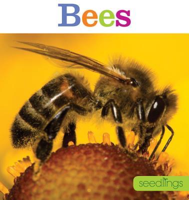 Vorderes Coverbild Seedlings: Bees