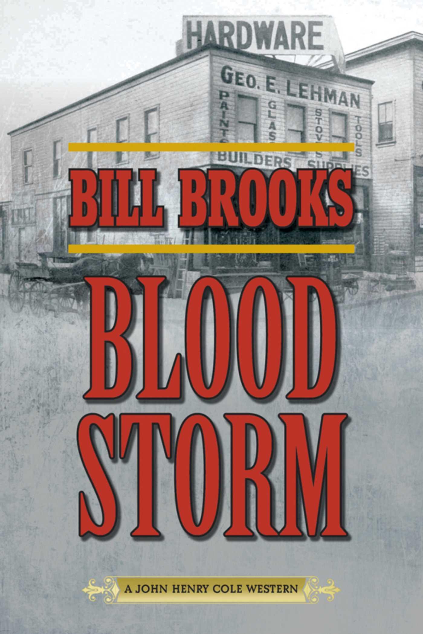 Vorderes Coverbild Blood Storm