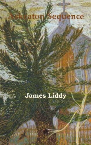 Vorderes Coverbild Askeaton Sequence