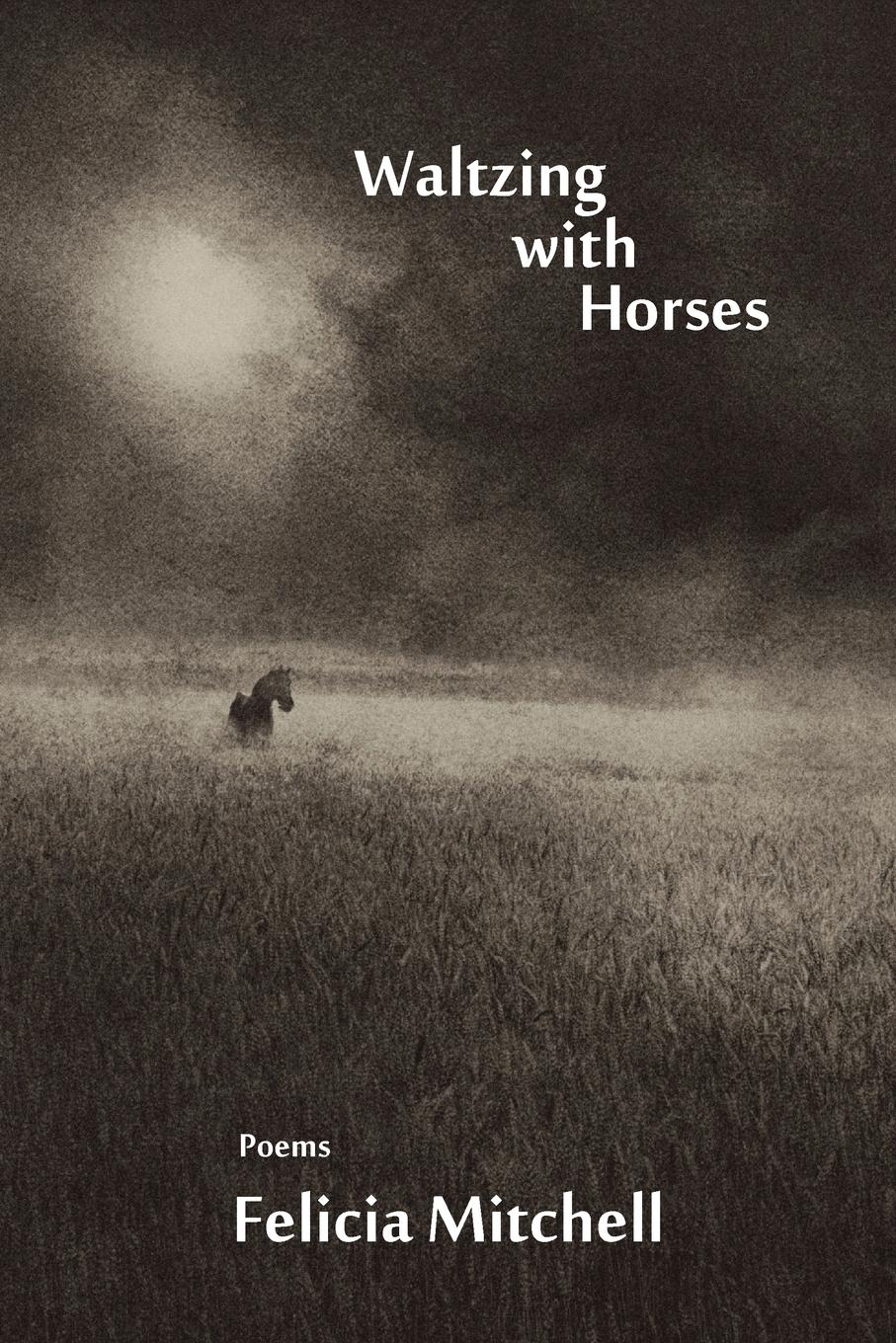 Vorderes Coverbild Waltzing with Horses