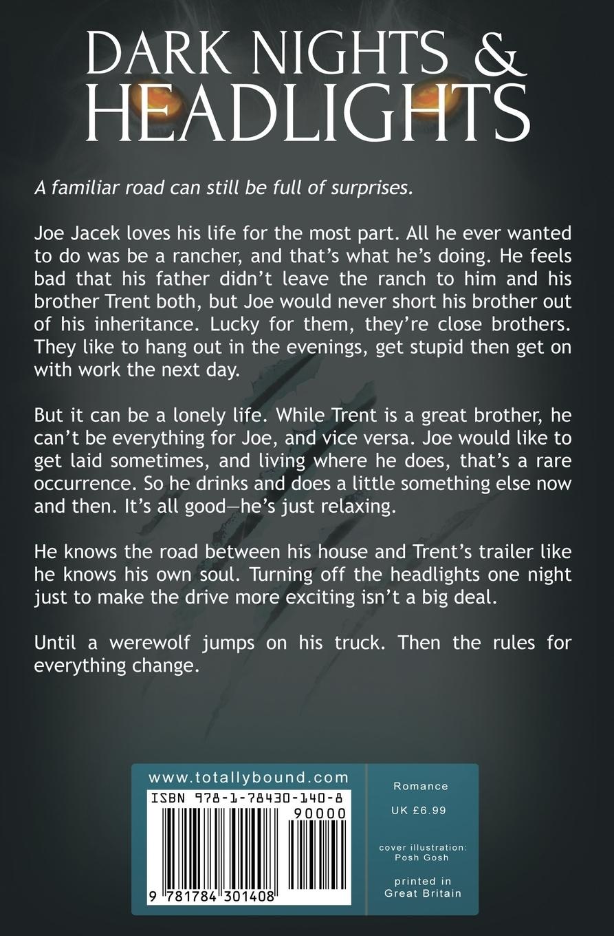 Rückseitencover Dark Nights and Headlights