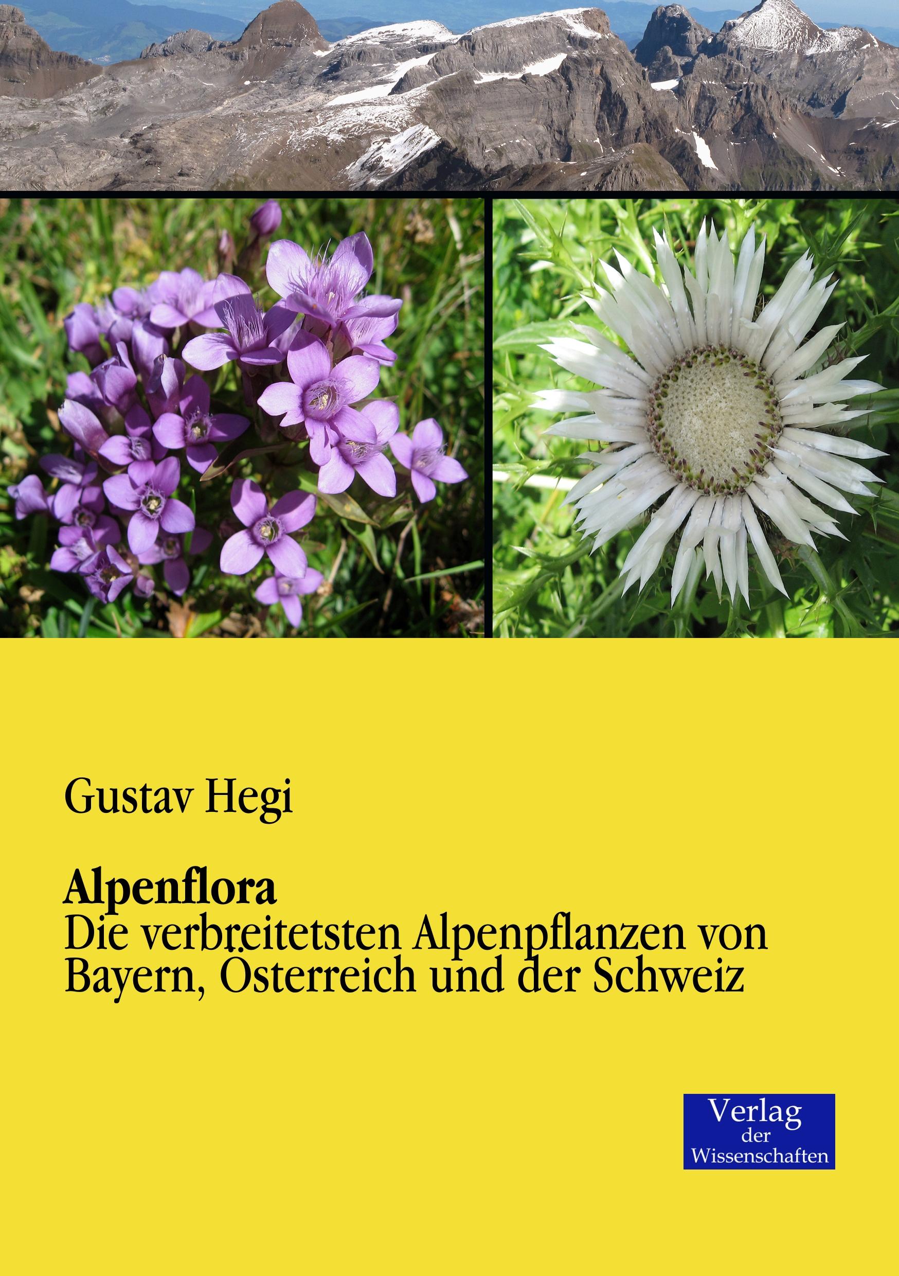 Vorderes Coverbild Alpenflora