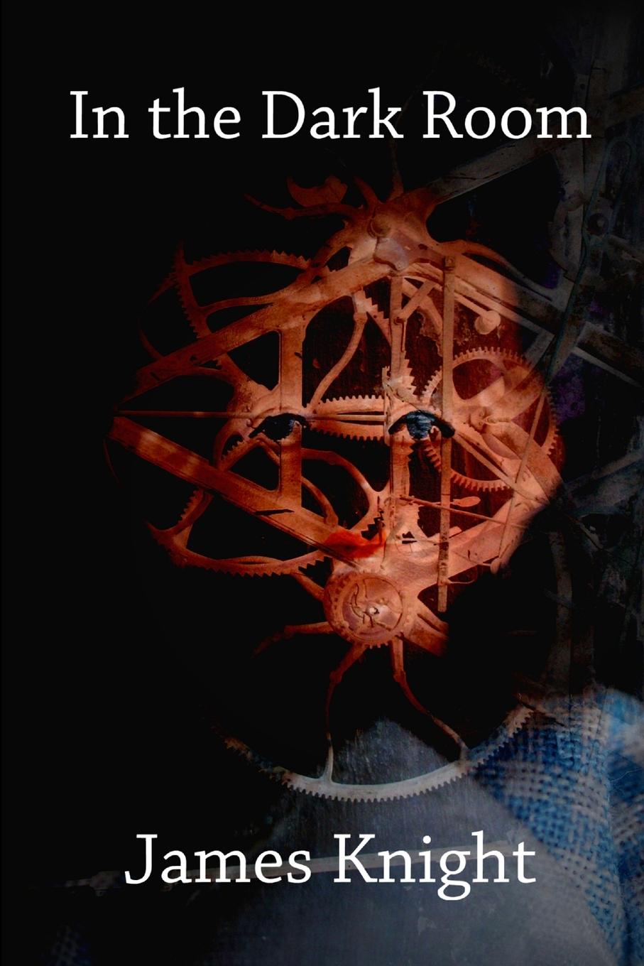 Vorderes Coverbild In the Dark Room