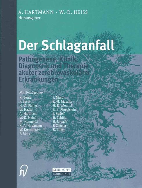Vorderes Coverbild Der Schlaganfall
