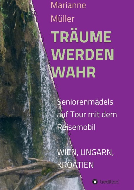 Vorderes Coverbild Träume werden wahr