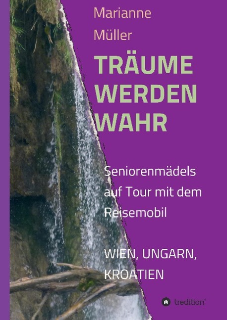 Vorderes Coverbild Träume werden wahr