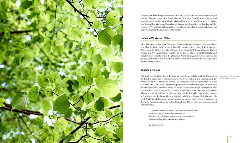 Beispielinhalt (Bild) Meine Heilkräutermandalas