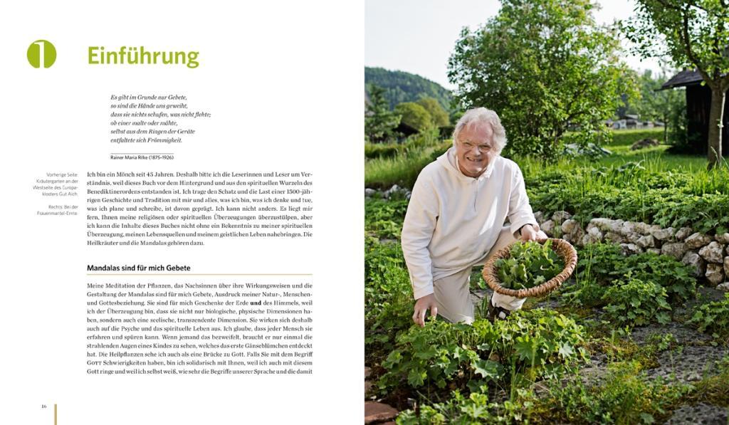 Beispielinhalt (Bild) Meine Heilkräutermandalas