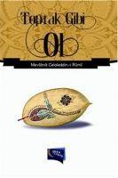 Vorderes Coverbild Toprak Gibi Ol
