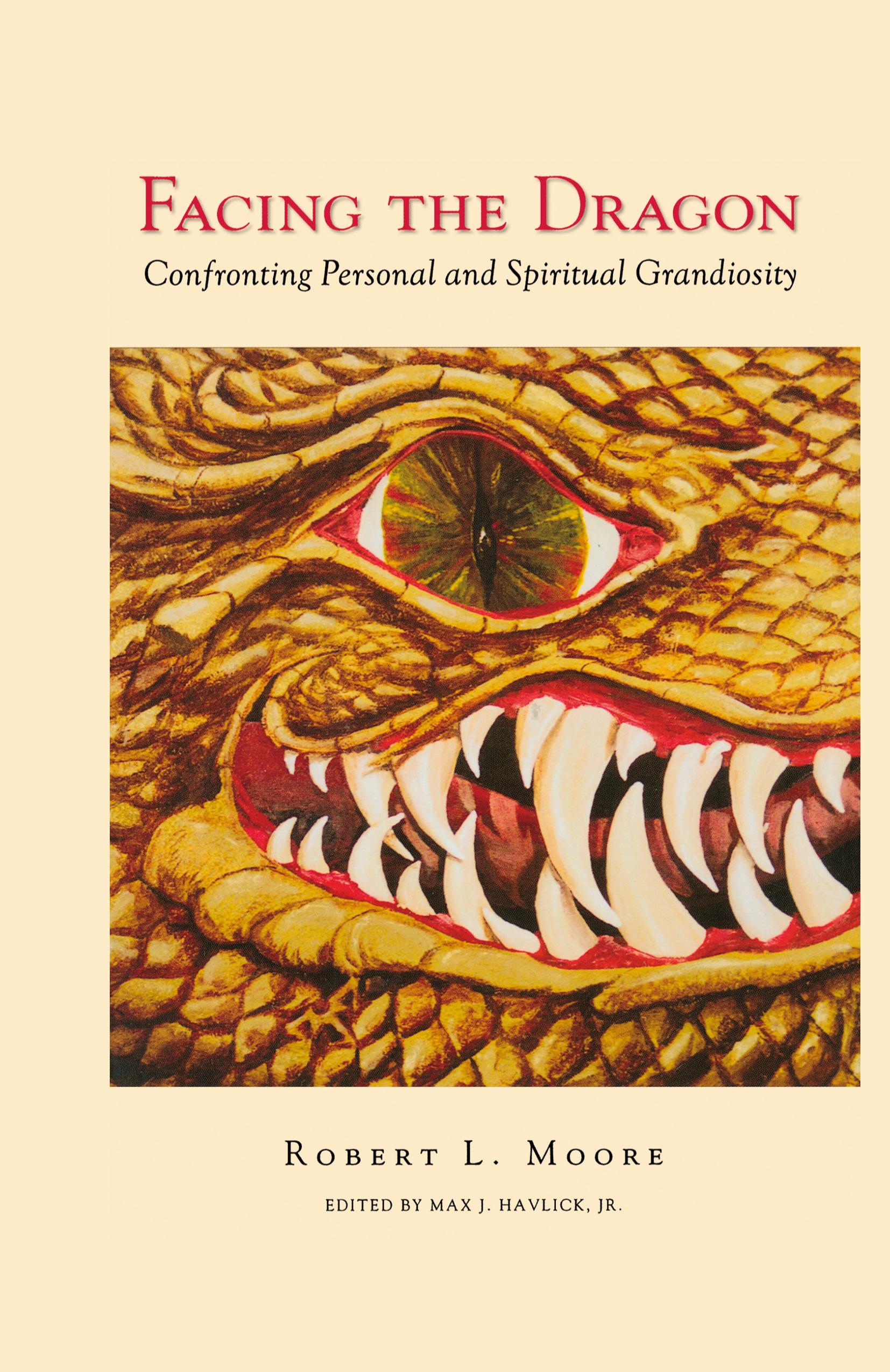 Vorderes Coverbild Facing the Dragon