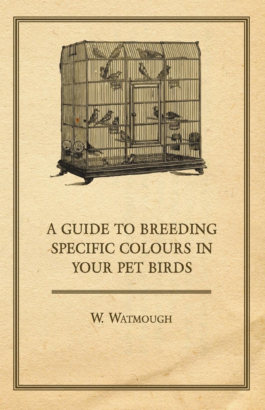Vorderes Coverbild A Guide to Breeding Specific Colours in Your Pet Birds