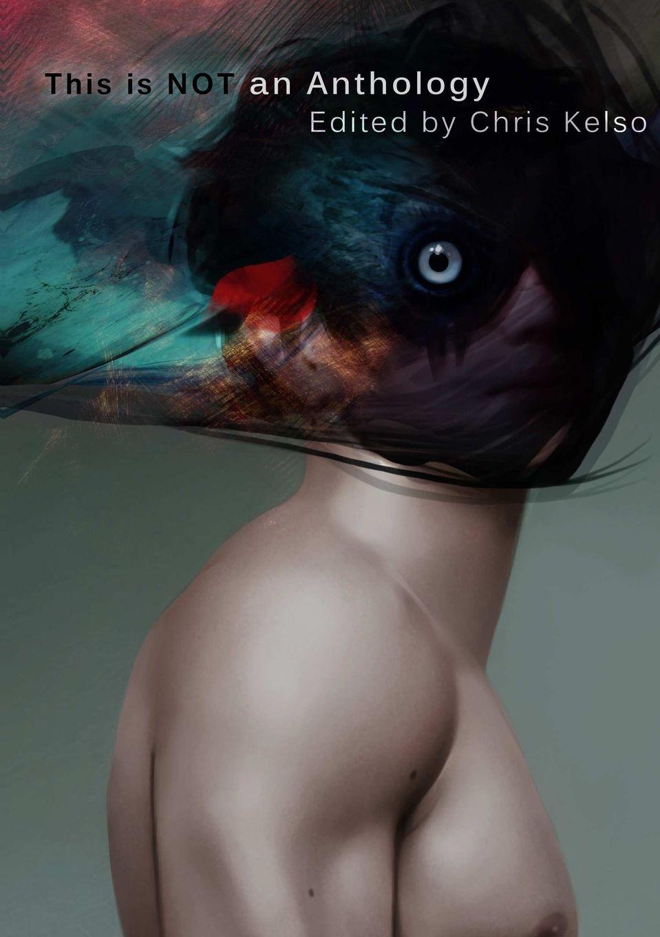 Vorderes Coverbild THIS IS NOT AN ANTHOLOGY