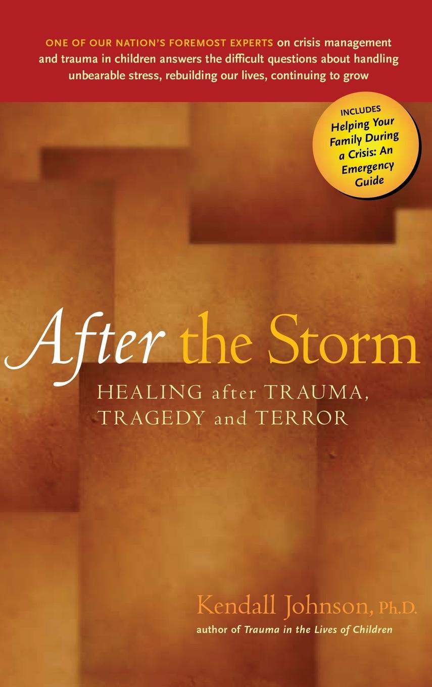 Vorderes Coverbild After the Storm