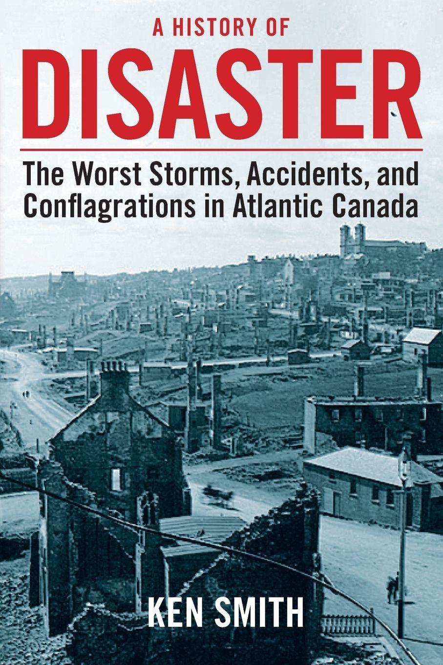 Vorderes Coverbild A History of Disaster