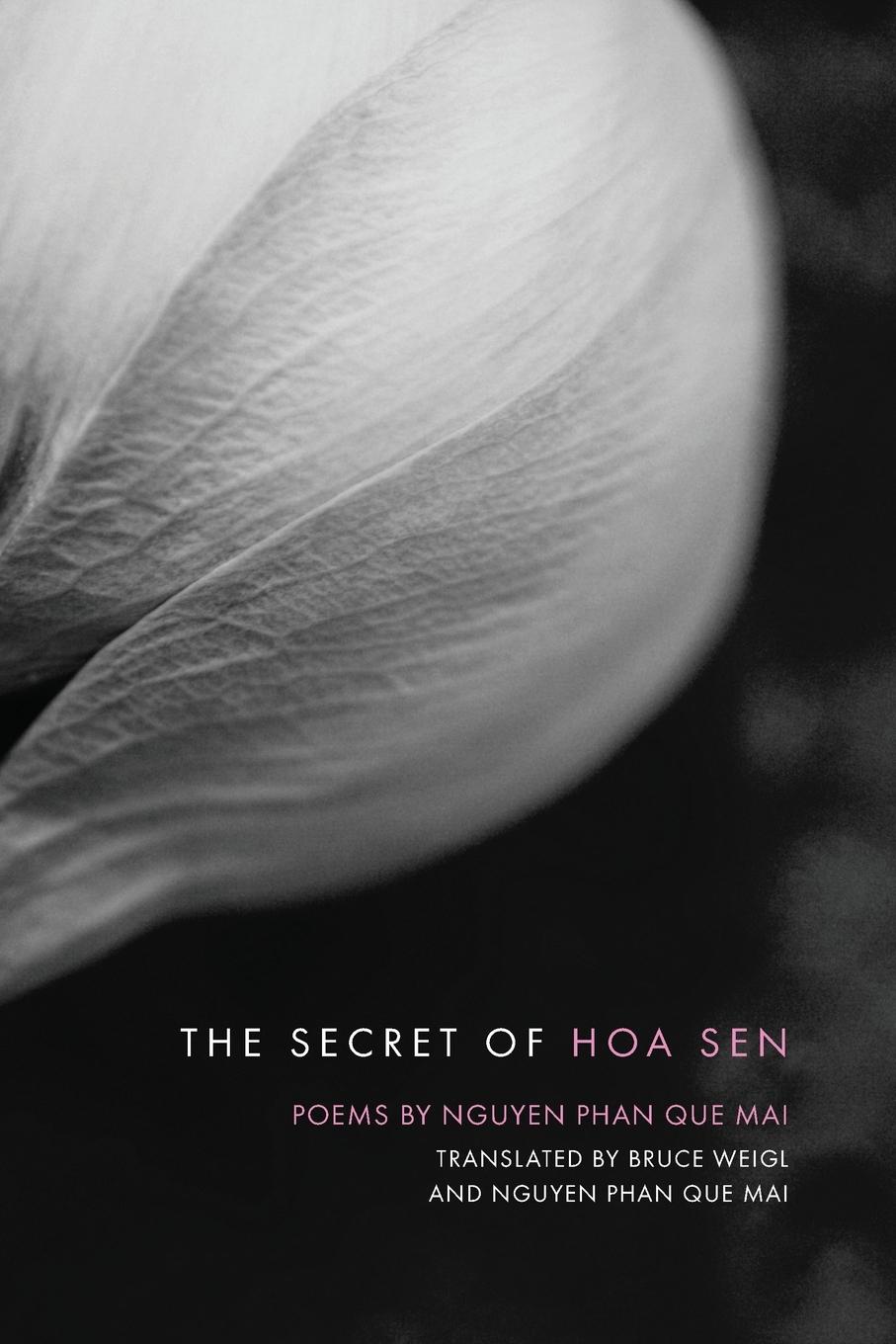 Vorderes Coverbild The Secret of Hoa Sen