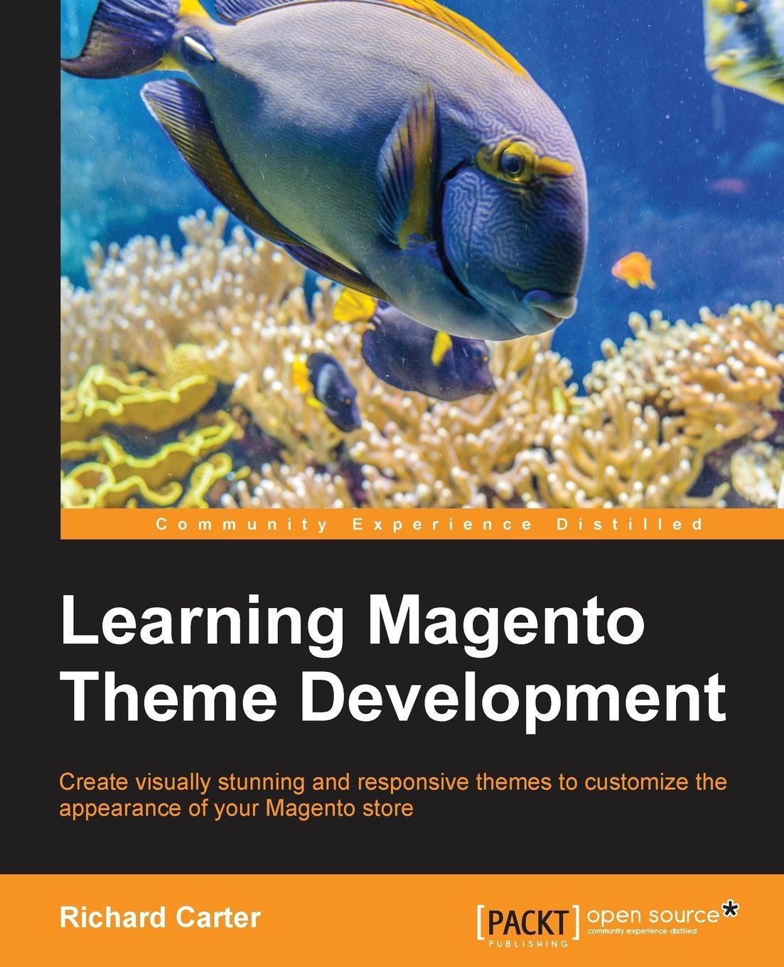 Vorderes Coverbild Learning Magento Theme Development