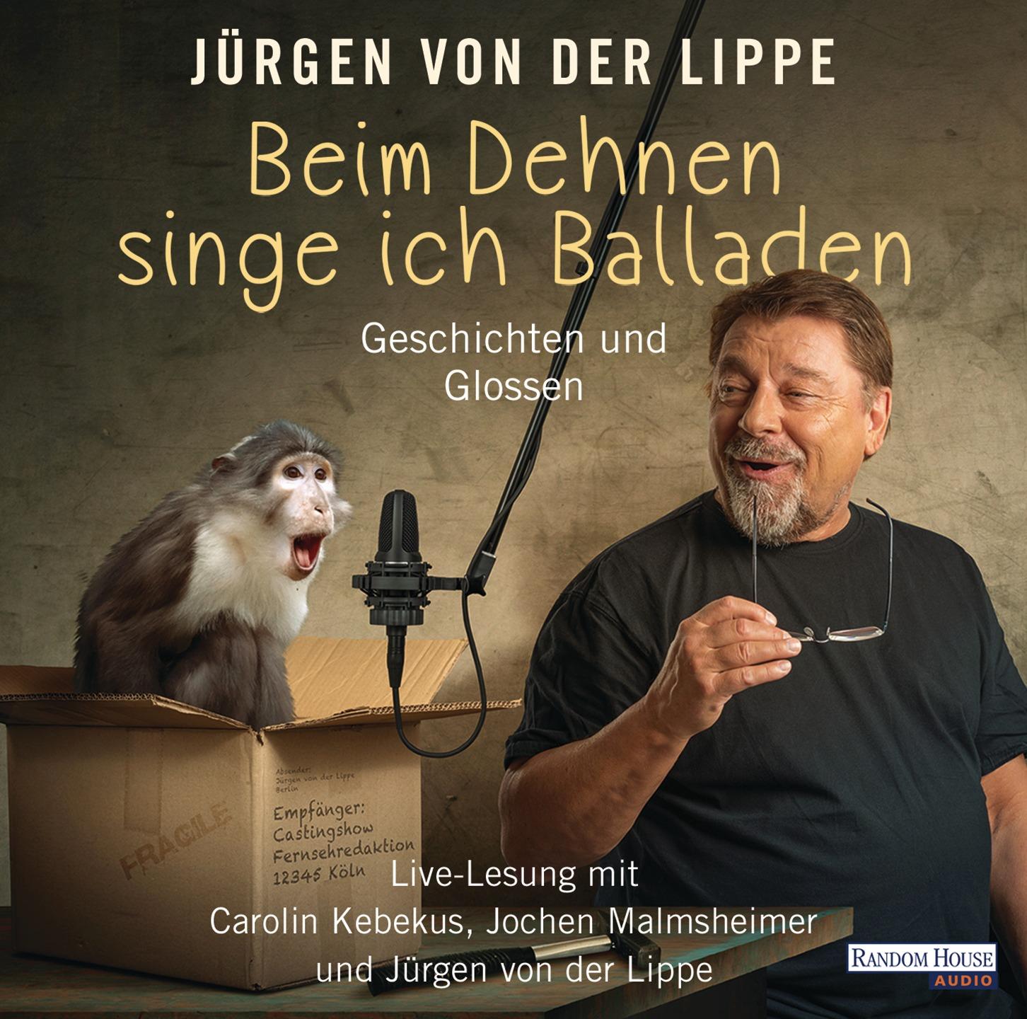 Vorderes Coverbild Beim Dehnen singe ich Balladen