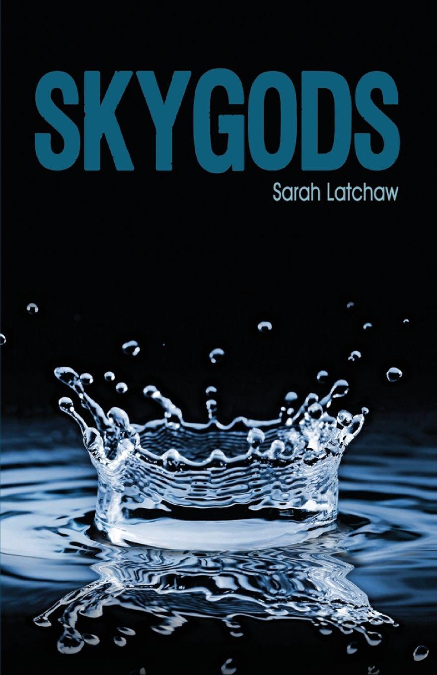 Vorderes Coverbild Skygods