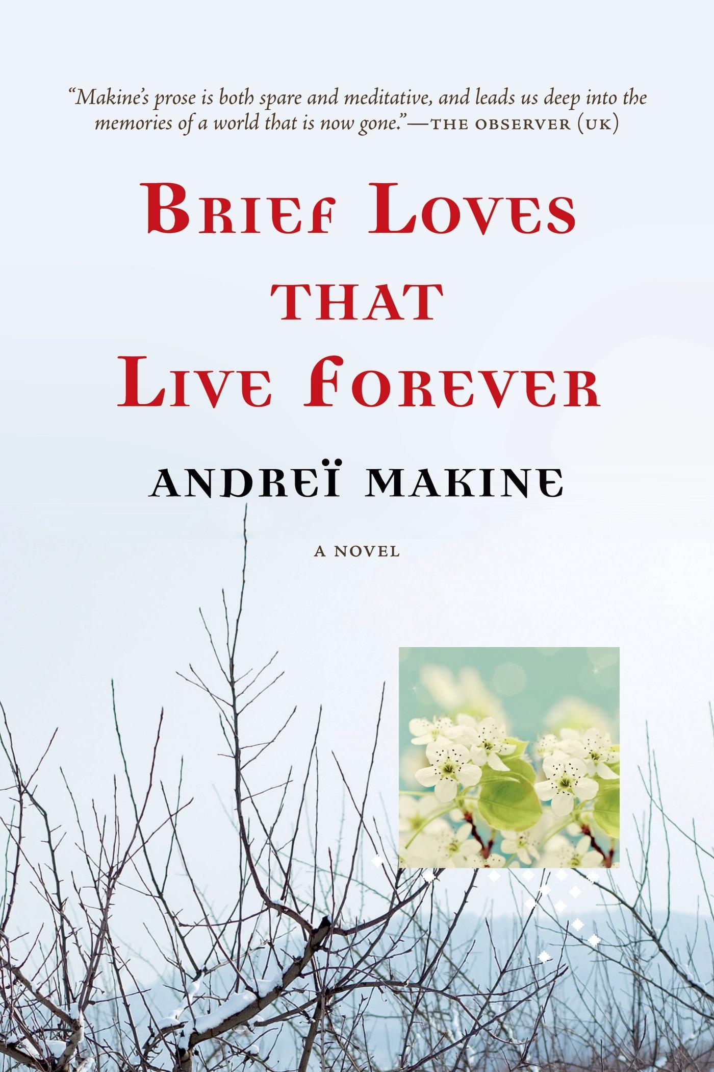 Vorderes Coverbild Brief Loves That Live Forever