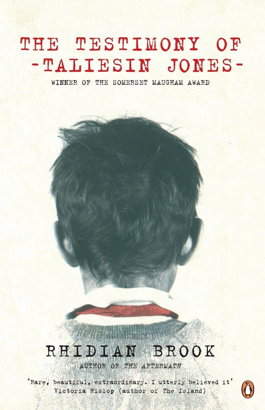 Vorderes Coverbild The Testimony of Taliesin Jones