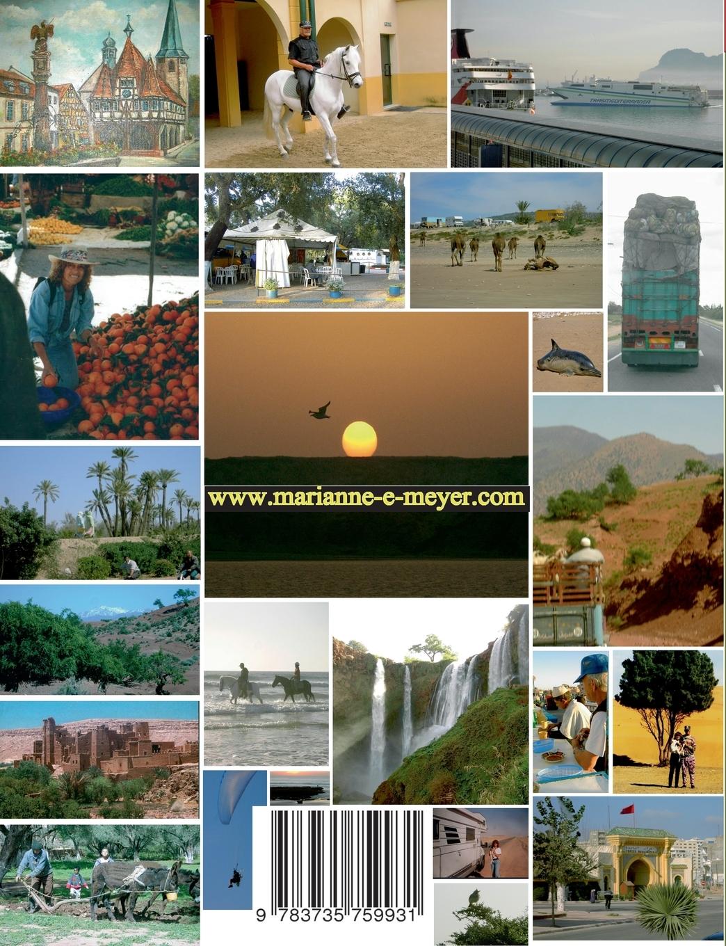 Rückseitencover Zugvögel auf Rädern