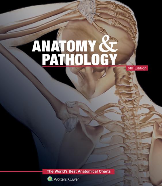 Vorderes Coverbild Anatomy & Pathology:The World's Best Anatomical Charts Book
