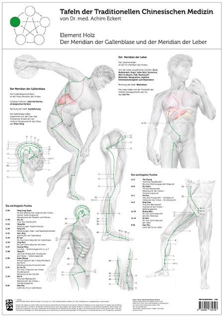 Vorderes Coverbild Tao Training Meridiantafel Holz Element