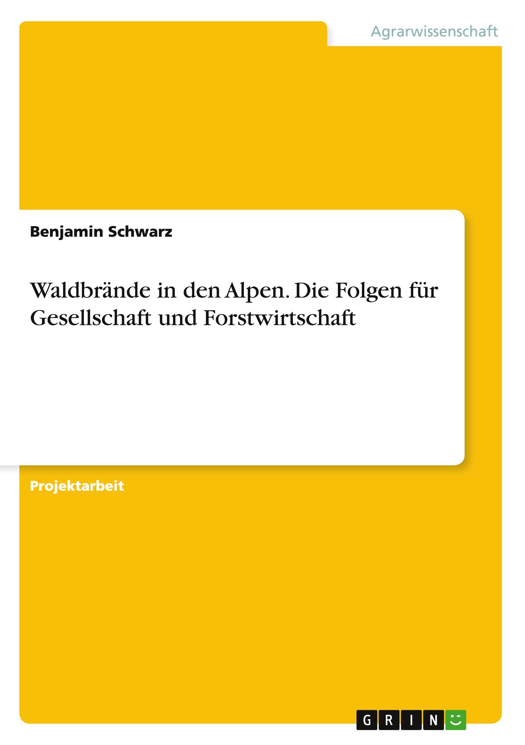 Vorderes Coverbild Waldbrände in den Alpen. Die Folgen für Gesellschaft und Forstwirtschaft