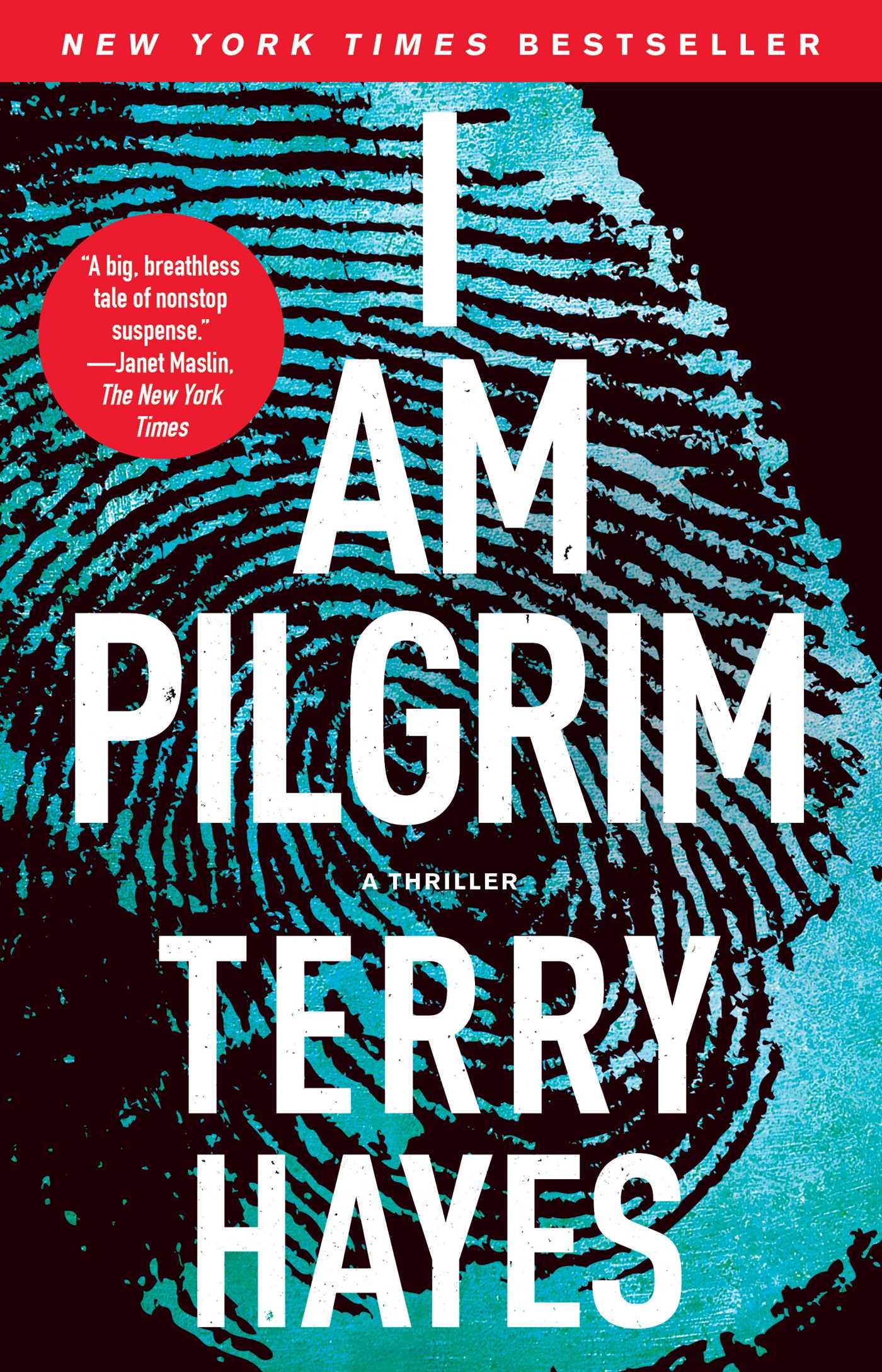 Vorderes Coverbild I Am Pilgrim