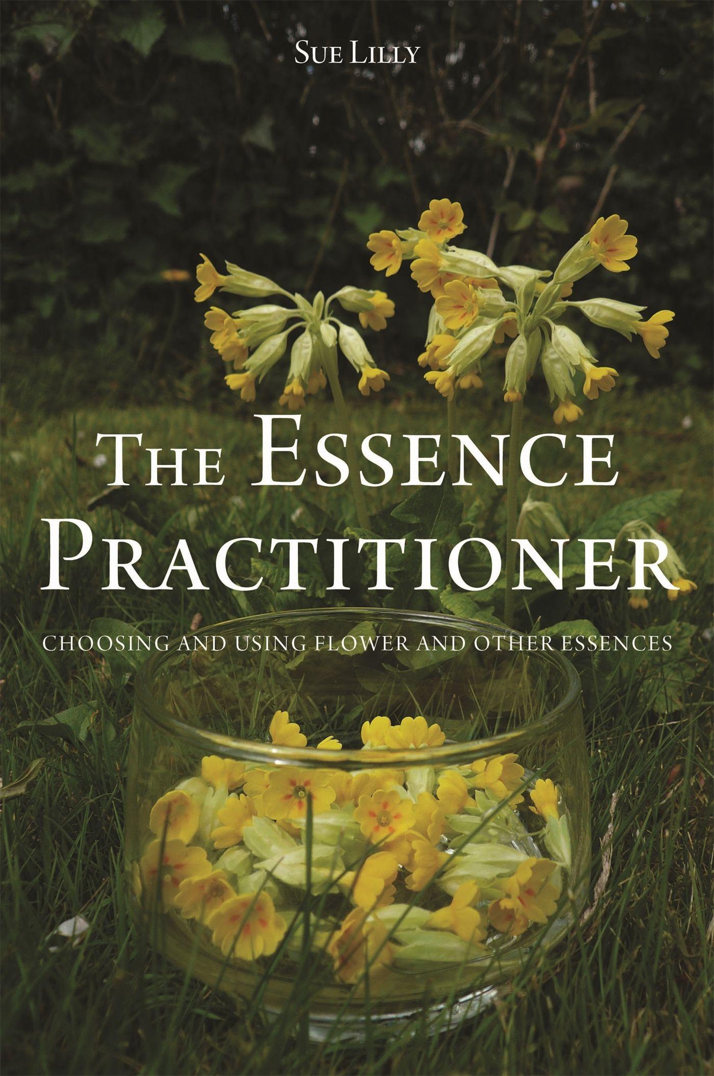 Vorderes Coverbild The Essence Practitioner
