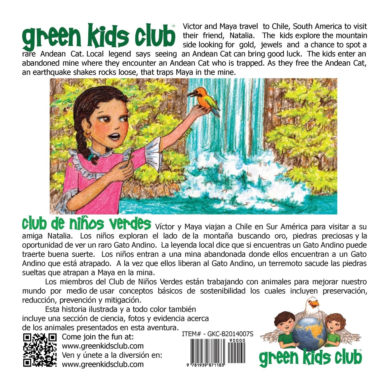 Rückseitencover Minas Chilenas