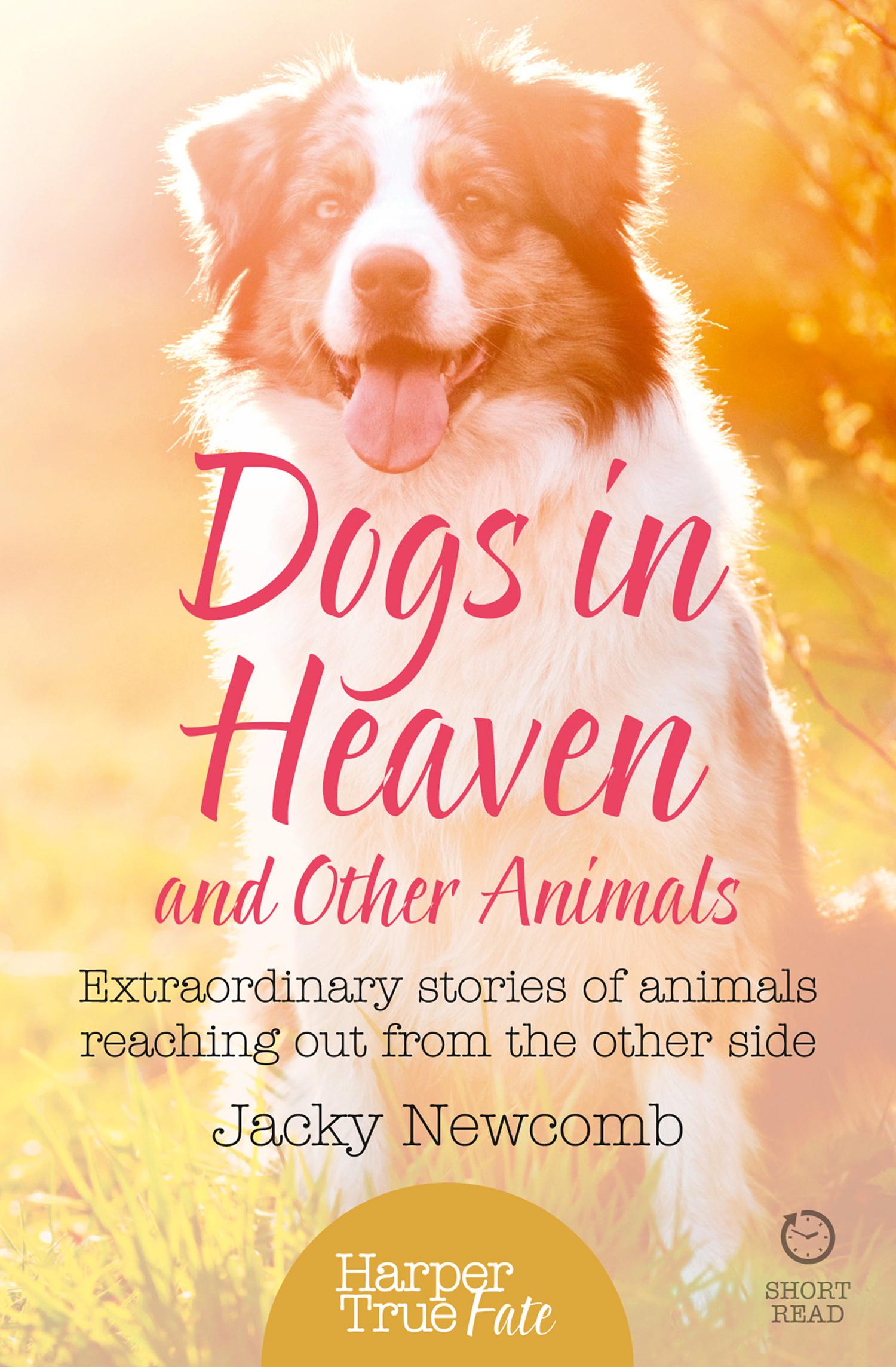 Vorderes Coverbild Dogs in Heaven