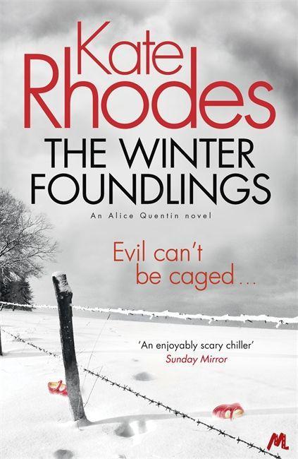 Vorderes Coverbild The Winter Foundlings