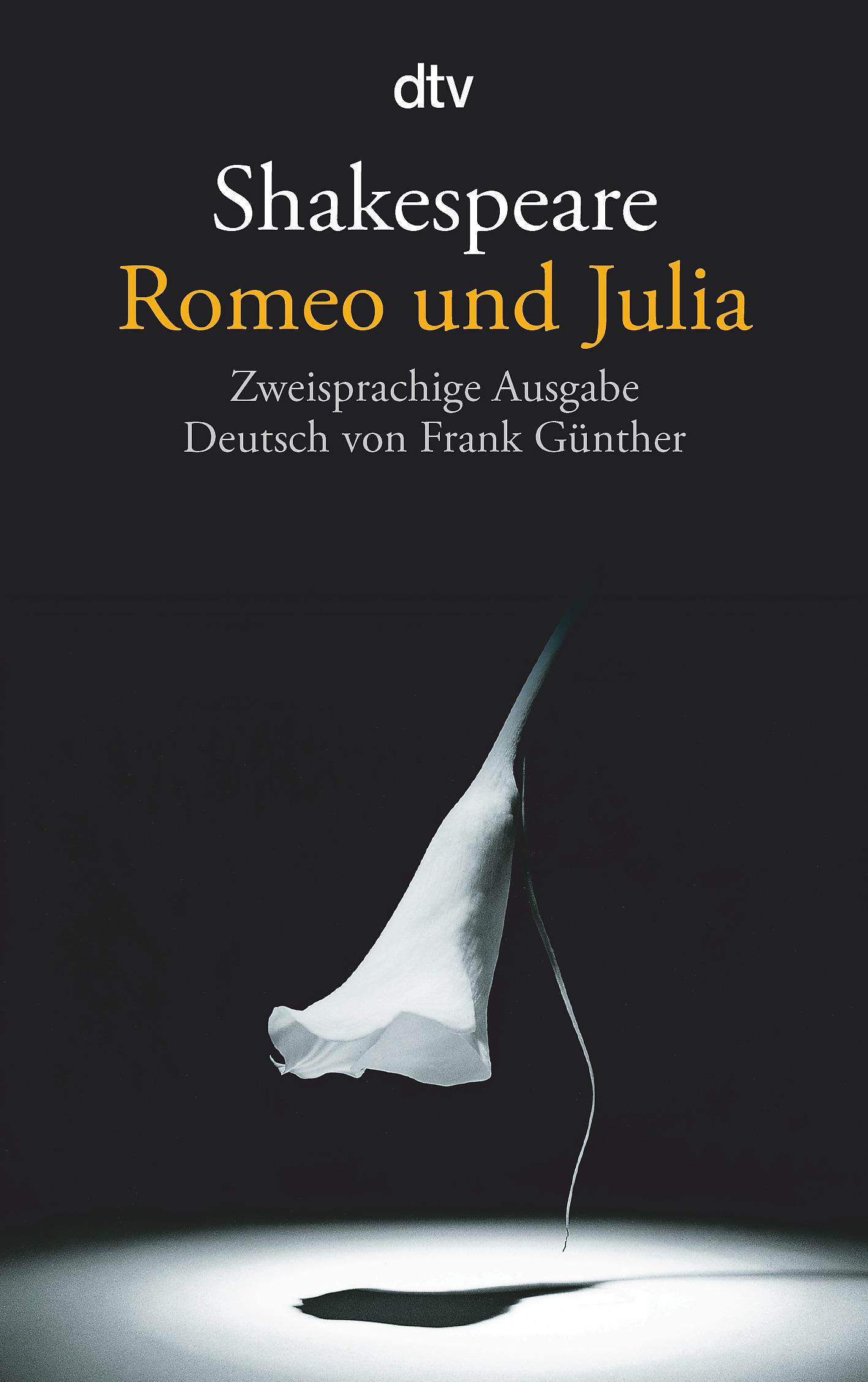 Vorderes Coverbild Romeo und Julia