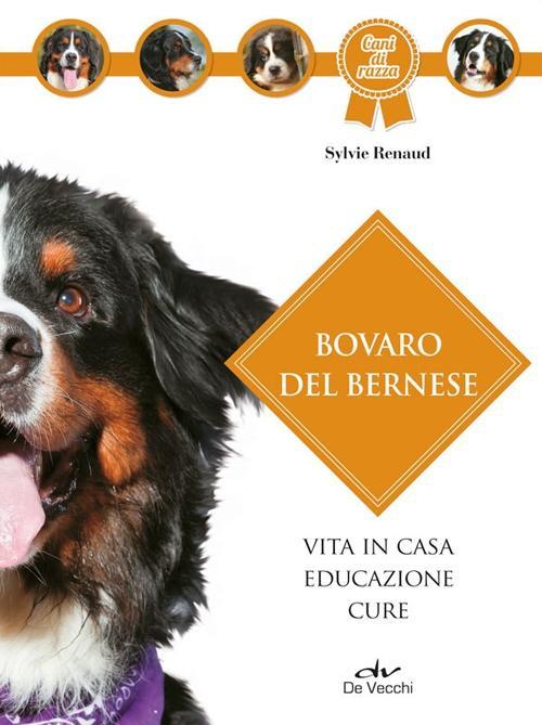 Vorderes Coverbild Il bovaro del bernese