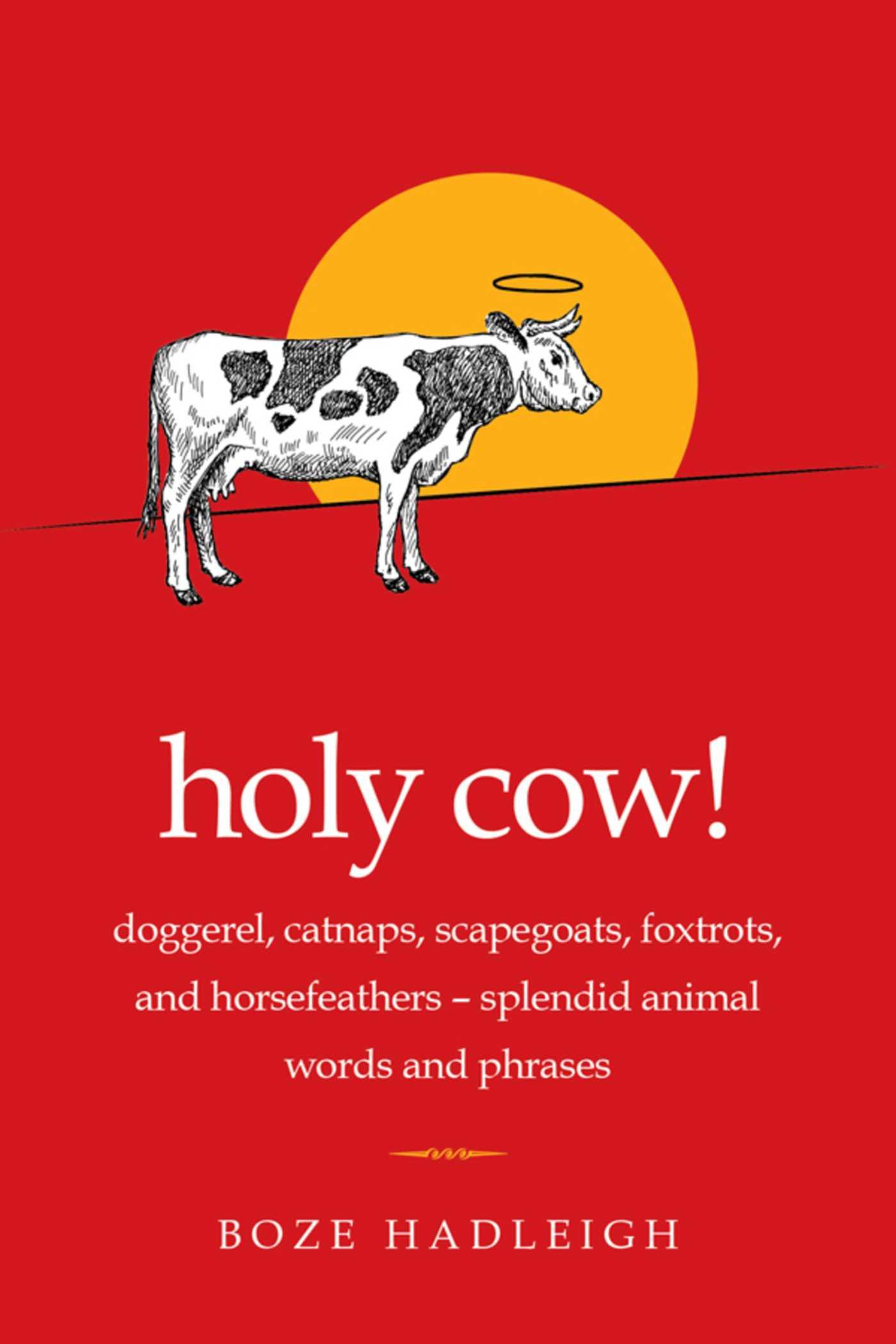 Vorderes Coverbild Holy Cow!