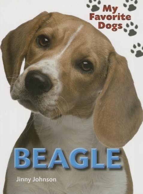 Vorderes Coverbild Beagle