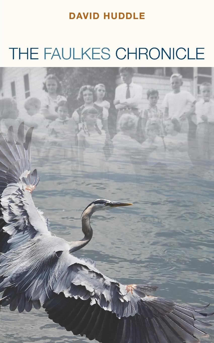 Vorderes Coverbild The Faulkes Chronicle
