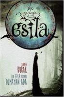 Vorderes Coverbild Düs Gezgini Esila