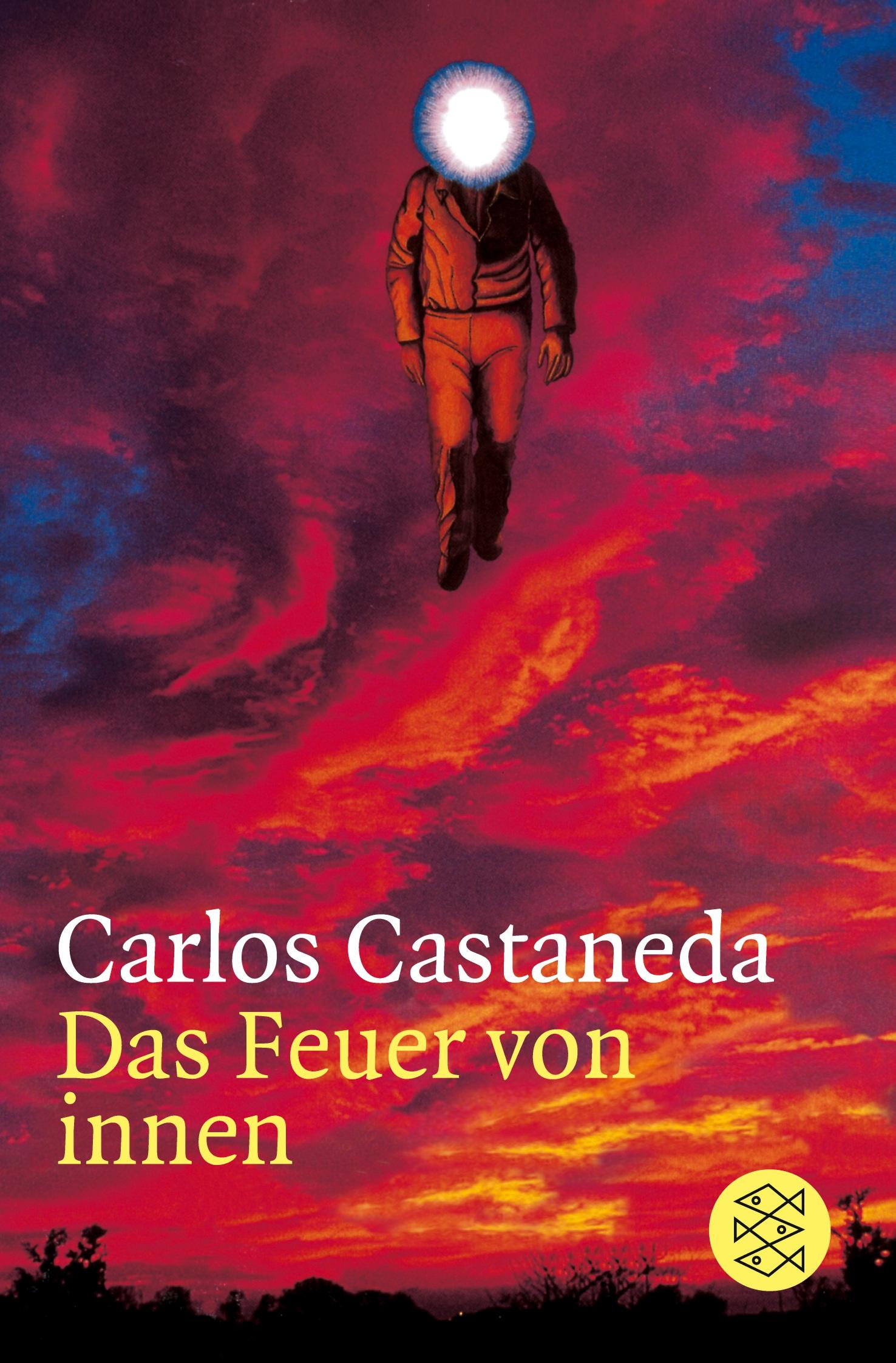 Vorderes Coverbild Das Feuer von innen