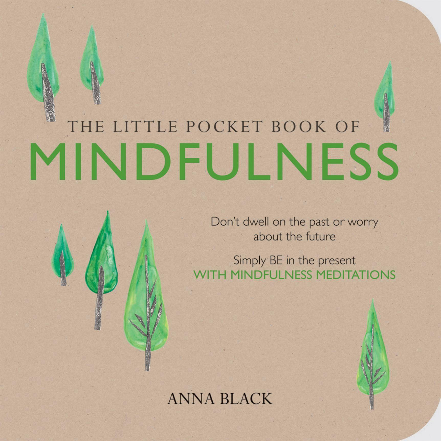 Vorderes Coverbild The Little Pocket Book of Mindfulness