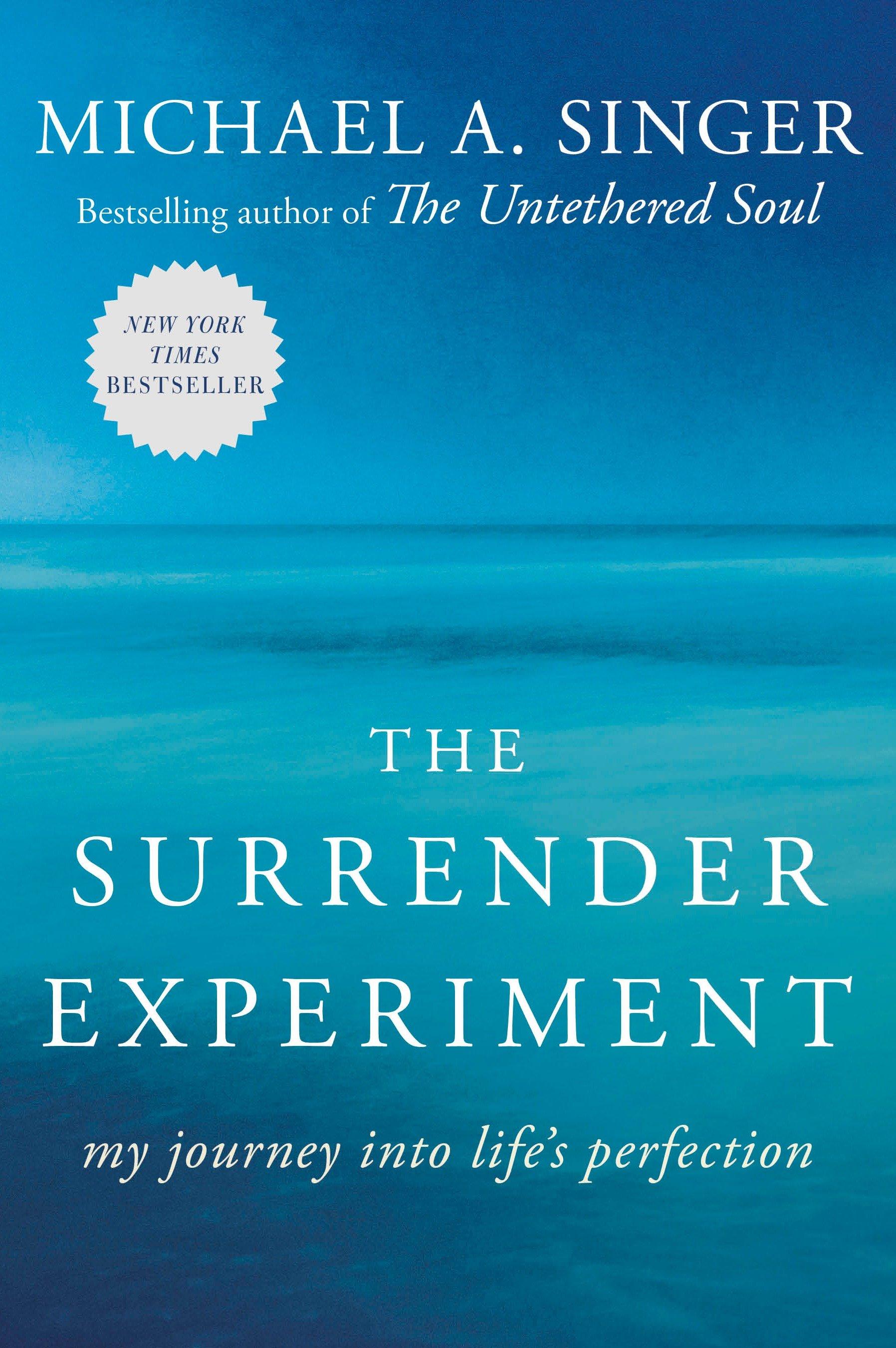 Vorderes Coverbild The Surrender Experiment