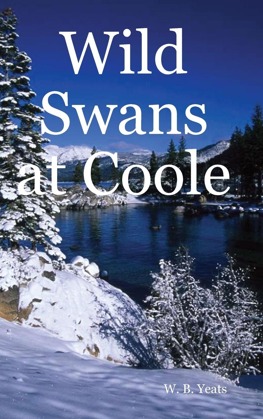 Vorderes Coverbild Wild Swans at Coole