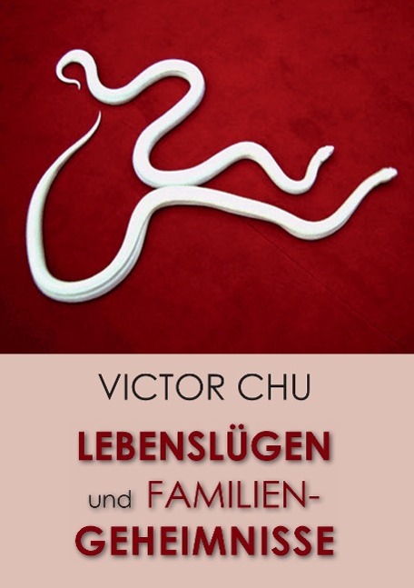 Vorderes Coverbild Lebenslügen und Familiengeheimnisse