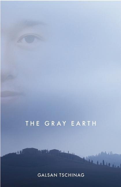 Vorderes Coverbild The Gray Earth
